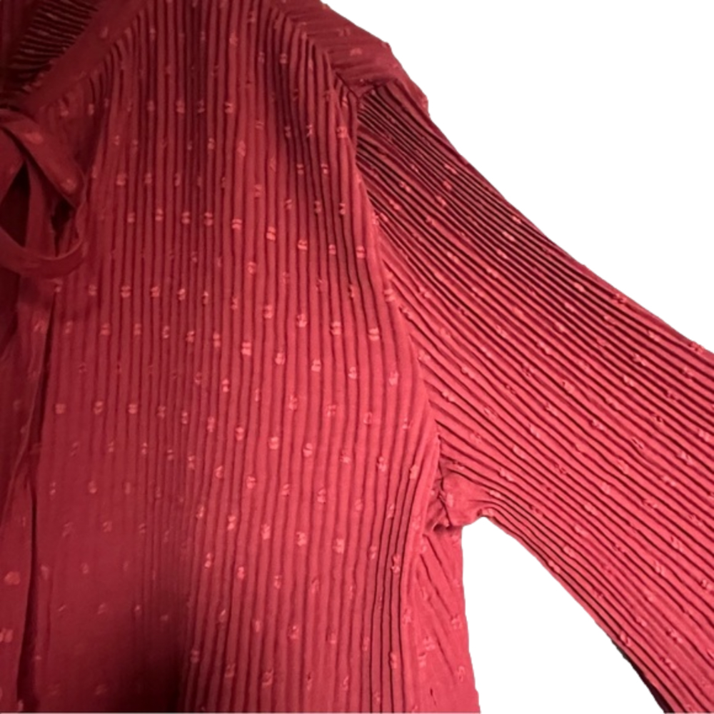 NWT Max Studio Accordion Pleat Bishop Sleeve Swiss Dot Blouse Terracotta Red M - Picture 5 of 7